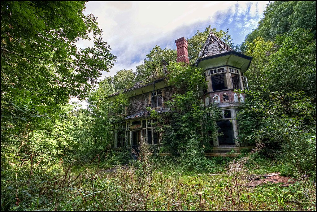 house in woods